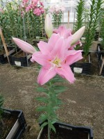 [5634 VH64 No01.JPG]